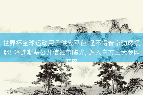 世界杯全球運動用品供應平臺 怪不得普京勃然憤怒! 澤連斯基公