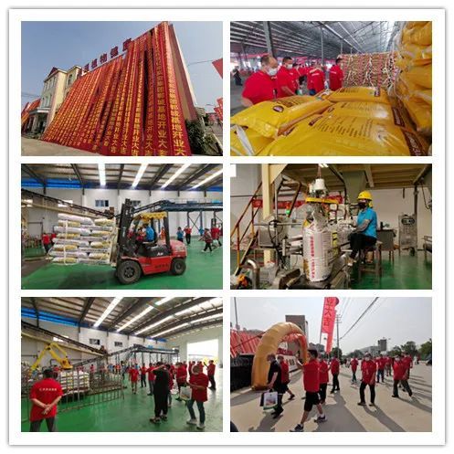 百萬噸酵素肥基地落成 億豐實業(yè)集團發(fā)布會釋放行業(yè)重磅信息